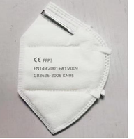 Triple Layer Protection Mask