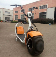 Electric Bike E-Bike