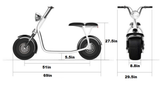 Electric Bike E-Bike