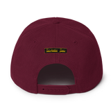 Terpene Tees Snapback Hat
