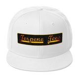 Terpene Tees Snapback Hat