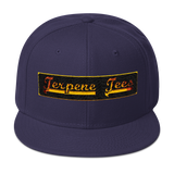 Terpene Tees Snapback Hat