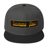 Terpene Tees Snapback Hat