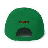 Terpene Tees Snapback Hat
