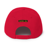 Terpene Tees Snapback Hat