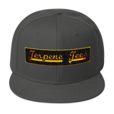Terpene Tees Snapback Hat