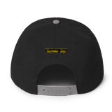 Terpene Tees Snapback Hat