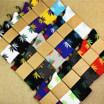 Maple Leaf Socks